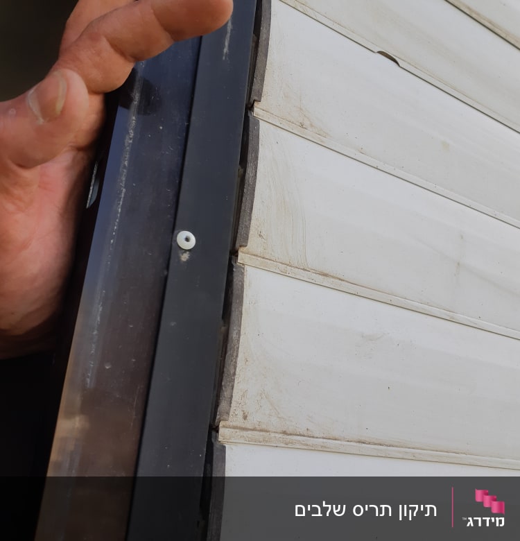 תריסים לבנים עם מסגרת מתכת כהה